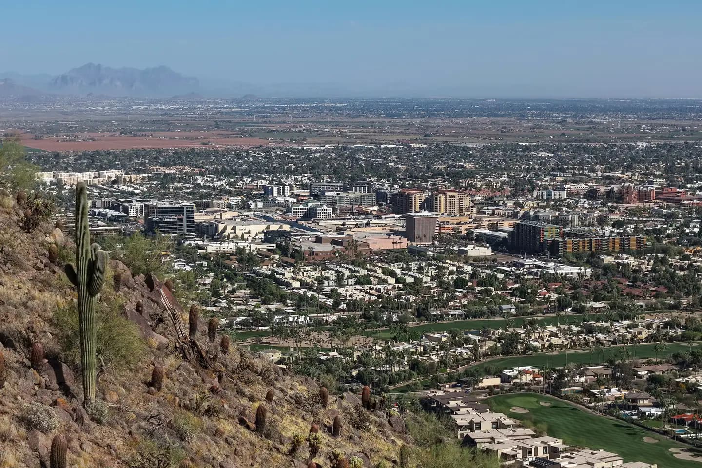 Scottsdale, Arizona spread across the valley below a saguaro-covered desert hillside