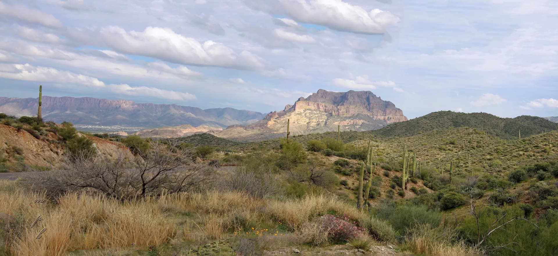 Panorama of Superstition Mountain above saguaro and desert scrub near Apache Junction, Arizona