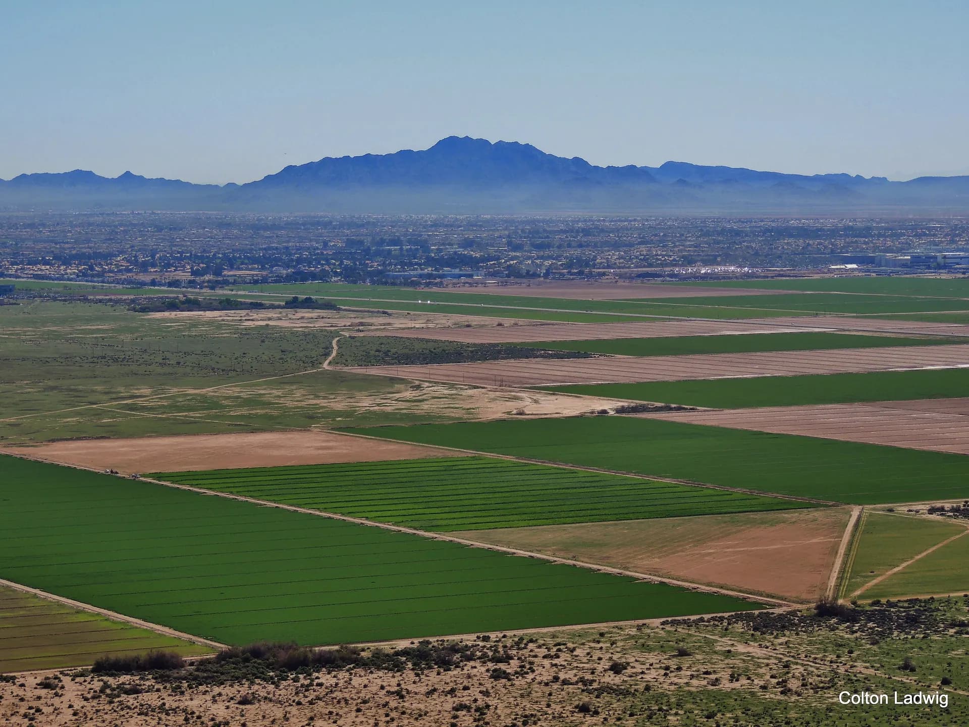 San Tan Mountain rising beyond green irrigated farm fields in the Arizona desert